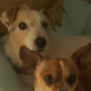 Meet your Posher, Robin